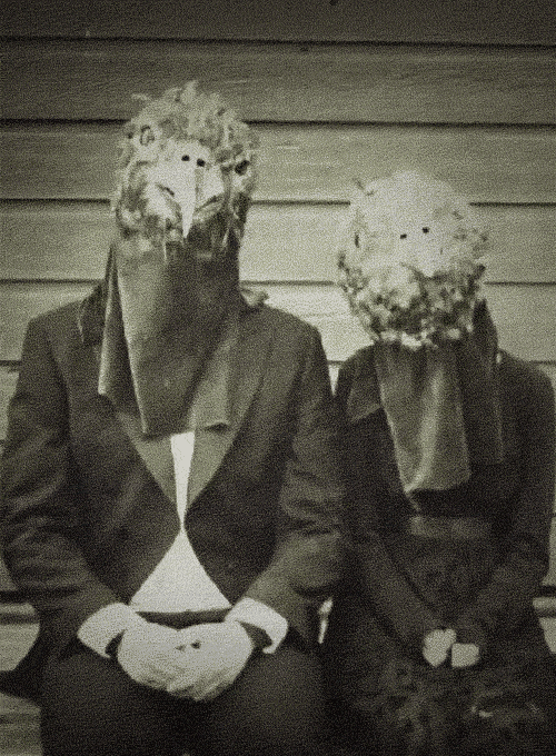 bird-masks
